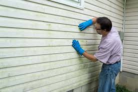 Affordable Siding Repair and Maintenance Services in Morrisonville, NY